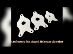 wysokiej temperatury płytka Sic setter